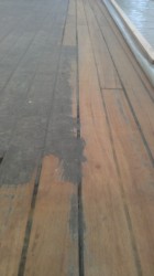 IMAG0244